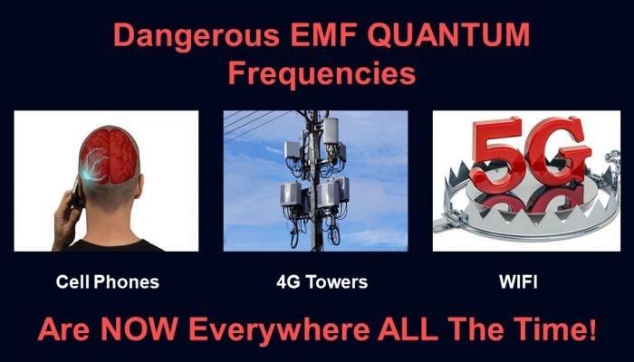 EMF Frequencies
